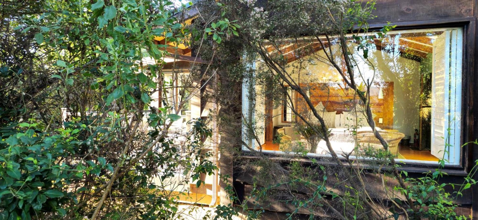 Elephant Hide Of Knysna Guest Lodge Exterior foto