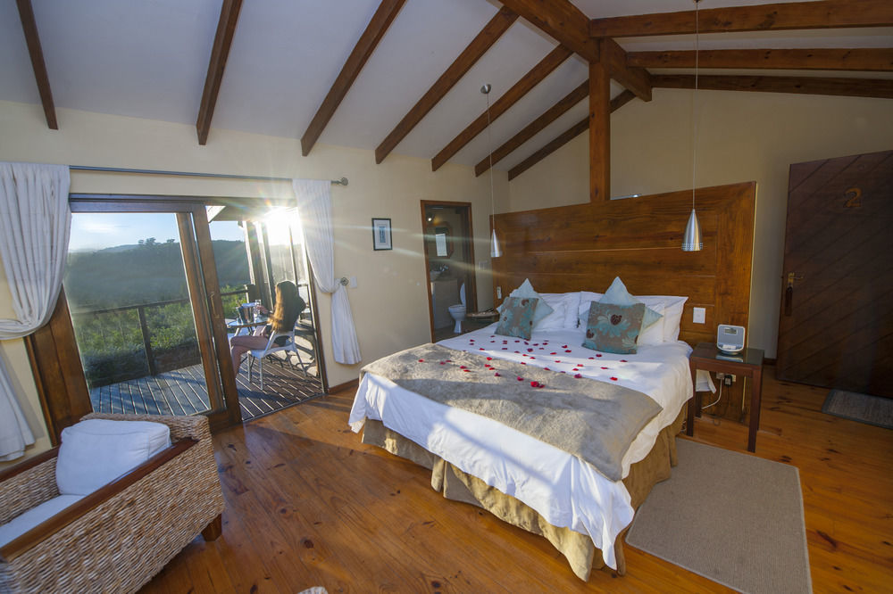 Elephant Hide Of Knysna Guest Lodge Exterior foto