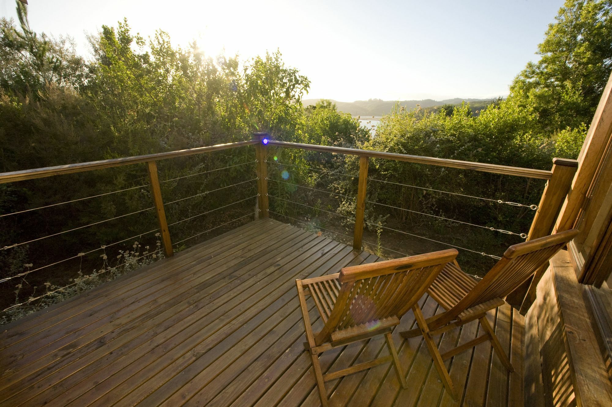 Elephant Hide Of Knysna Guest Lodge Exterior foto